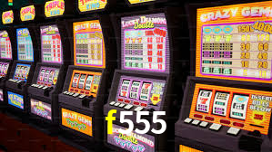 Interface Premium f555